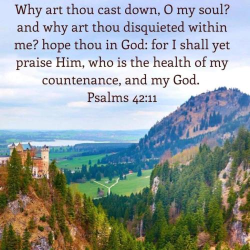 bb4c586a-6324-4005-963e-9929136c778a