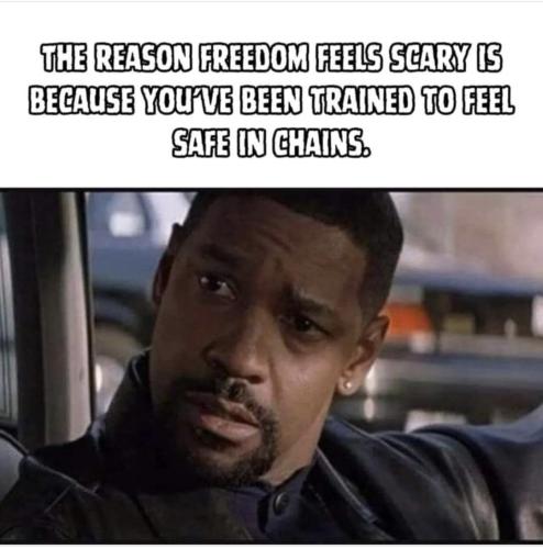 Screenshot_20241103_094530_Facebook