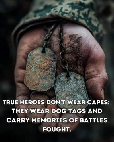 FB_IMG_1731293698899