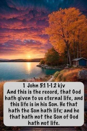 a85a820b-1c4f-45e8-aada-9f021b23fb95