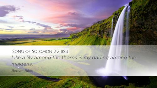 Song of Solomon 2_2