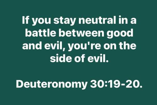 photo_2024-11-03_20-22-00