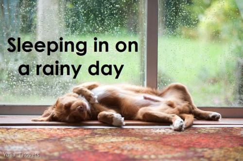 d0d75324936c4291d084c5aa772cb865