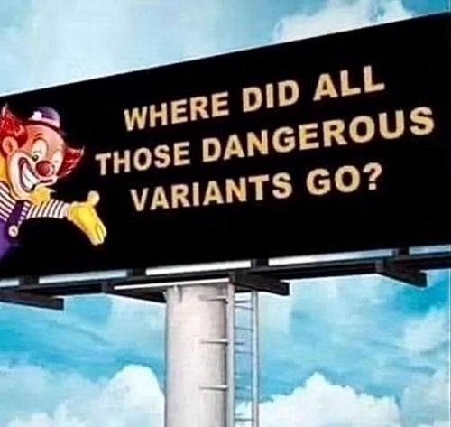 image_97BA9729-356C-4BE0-939C-BCDB599157D5