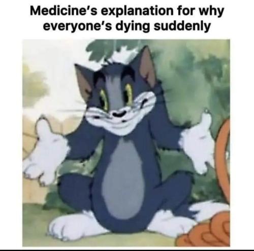 Screenshot_20241103_094637_Facebook