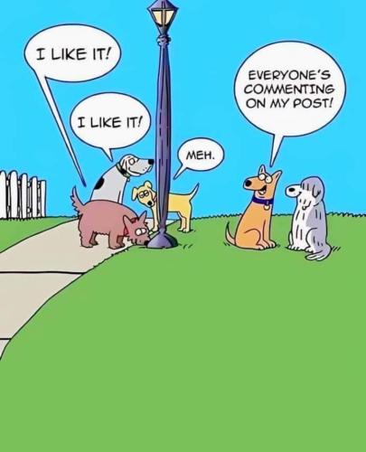 FEFA351F-0BF9-4F14-831B-C0516D2726A1