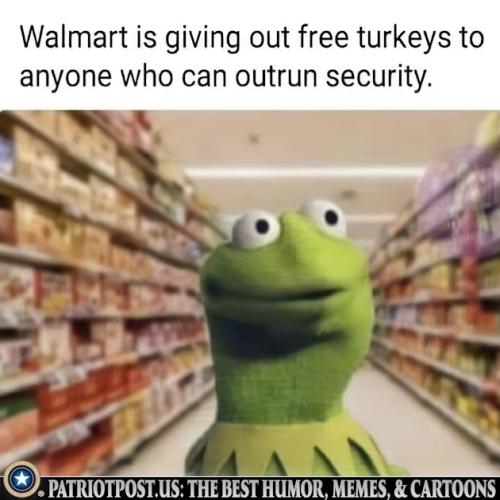 01JDQHSKJFJD3FFV3NQ6VZQG64