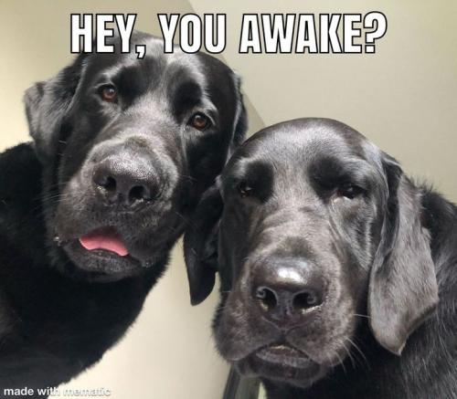 22a429fc15399cecde374e6efe3e27ac