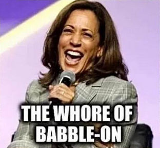 kamala harris619