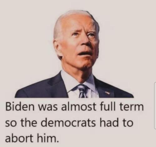 image_3003C3A3-1D22-4471-95AE-AB83484992DE