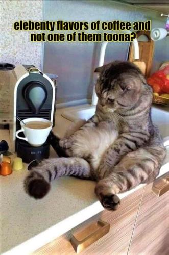 elebenty-flavors-of-coffee