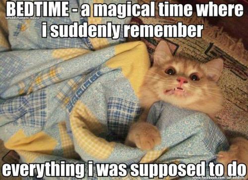 80970972365ea4b3f384733a5065ca40