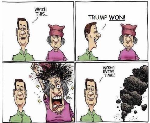 image_10CBB71F-1A6E-41D6-AAFB-231074C46D4C