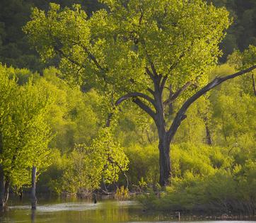 000000000000000000000000000000000000000000000000000000000000000000000000000000000000000000000000000000000000000000000000000000000000000000000000000000000000000000000000000000000000000000000000000000000000000000000cgo