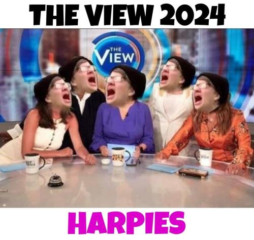 The View 2024.960px