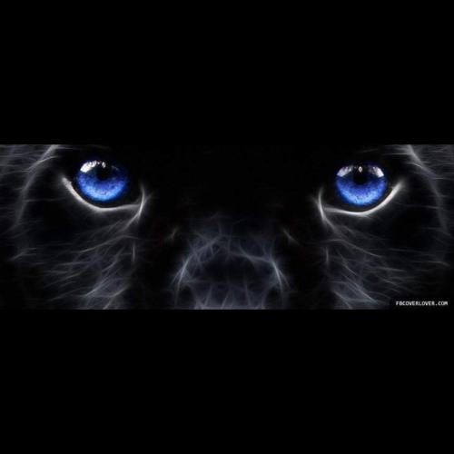 InstaFit_17321175693342318116583858263661