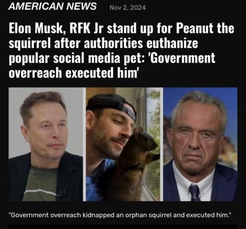 photo_2024-11-02_23-15-14