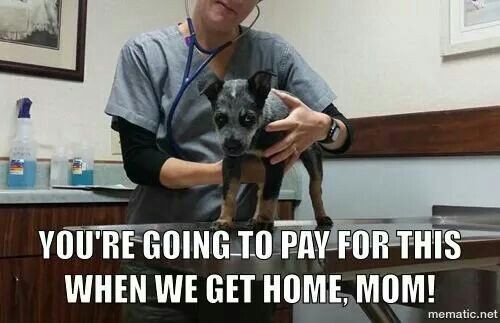 a8d0940a58de3a2f05a1a80cd70d42ad