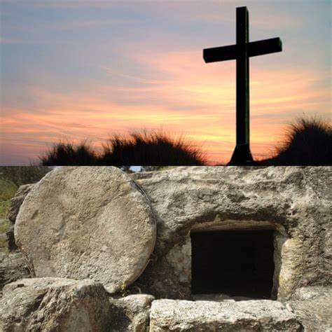 5a2cd672-b17b-47c1-85c3-b79ff74f5170