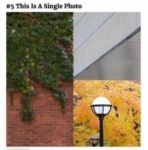 Screenshot_20241121-080916_Gallery