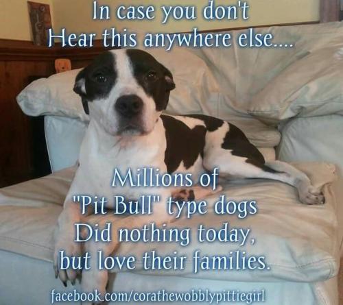 c6b6bf9a76744cfc6b98048d2217d4e9