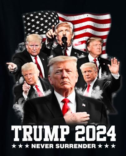 President-Donald-J-Trump-2024-T-Shirt_bf9dcfeb-c718-4832-a235-6cb23703621b.8e80605cbe144ed7ec65158977bb3e1d-241696028~3