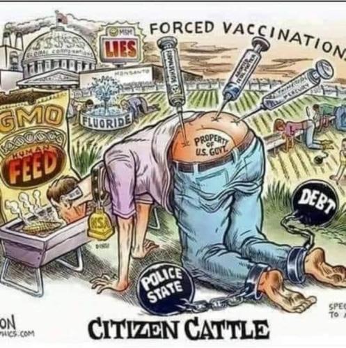 Screenshot_2024-11-14-13-42-01-89_1c337646f29875672b5a61192b9010f9