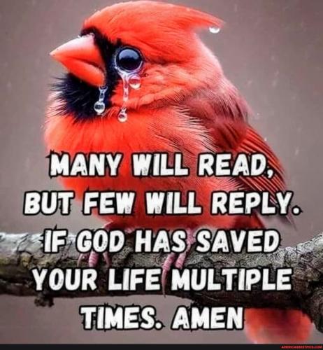 64e3340b1245cf148616b190c93e626c2b5dd8028cd712d17ba0379ec7e299e9_1