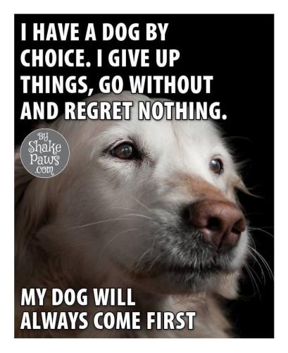 725762942cc946e358b9265f8c5d7b41