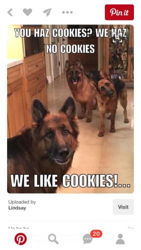 2bd99b98493977683fcc7da72903f968