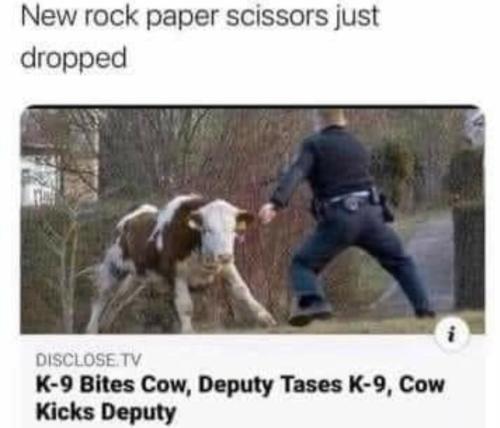 image_F6E9E2CD-54B5-4C30-B45C-A7C80773DE71