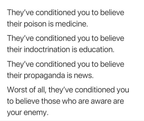 Screenshot_2024-11-19-02-16-48-06_a23b203fd3aafc6dcb84e438dda678b6