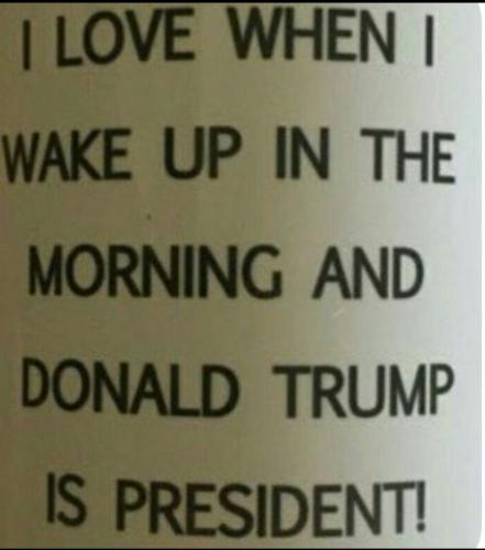 03c4f21f-b415-4654-9c33-fd719bfb1c1f