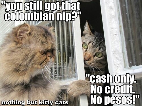 c564d953dffd274da751d634d40302aa