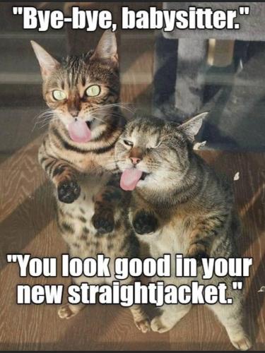 21fd969f48a33dead35d4fc047582551