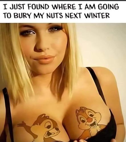 image_491CECA2-C27B-4AF0-AEF3-F5030753E302