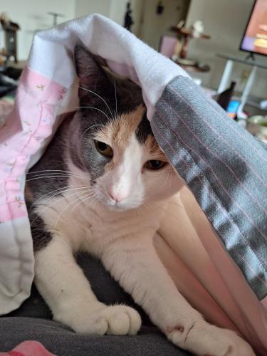 f98b7130-f68e-41eb-ae60-262b74728f4f