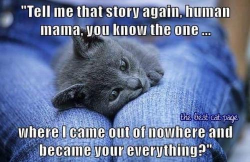 eed4204fc77b4f356f72bef56af4aefd