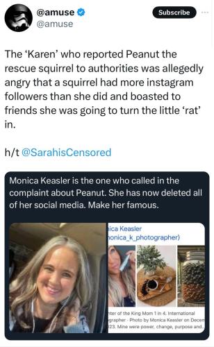 photo_2024-11-04_12-01-48