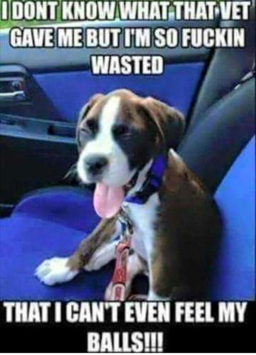 47046b8124d93d7729ba4b71d75f8481