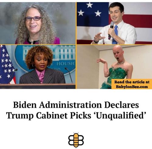 Screenshot_2024-11-14-14-08-57-65_1c337646f29875672b5a61192b9010f9