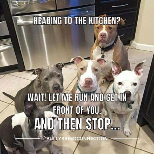 48ce95ce5a828eebfe319caf703a3f5b