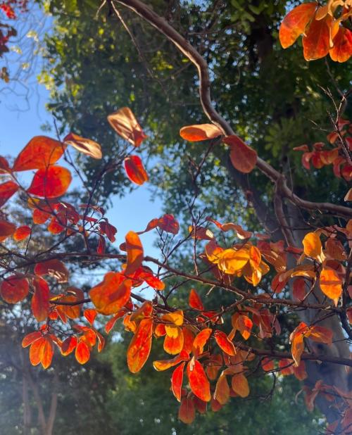 Screenshot_20241111_115919_Instagram