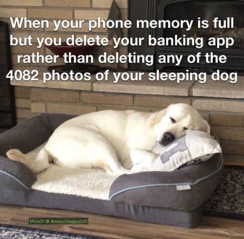 f2bad285a423a8e87fd63ca3766154ca