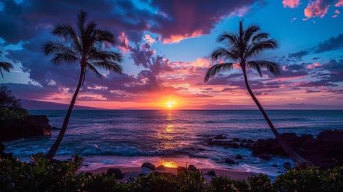 tropical-sunset-view-stockcake