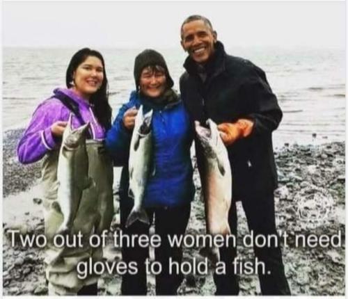 image_7EE1059C-7B7C-4718-B51A-1313531EDAF7