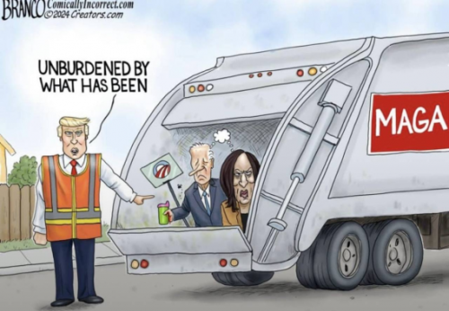 image_2024-11-07_064046952