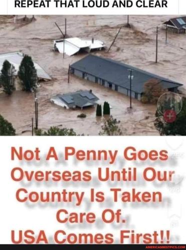 fdcea91d-bd39-4145-ab11-c59bce9bf266