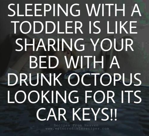 1D79BB4F-F514-475D-870D-00308B4EE7B4