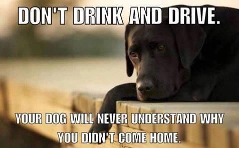 d4293cbbcaada97588070f59b1a0cafc